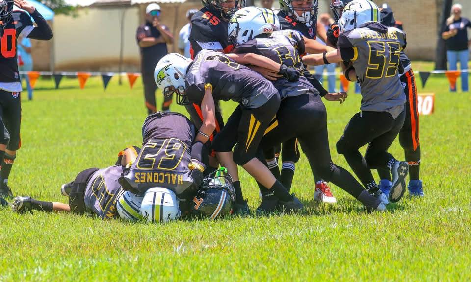 $!Halcones de Mazatlán registra balance positivo en Futbol Americano Centro Occidente Bajío