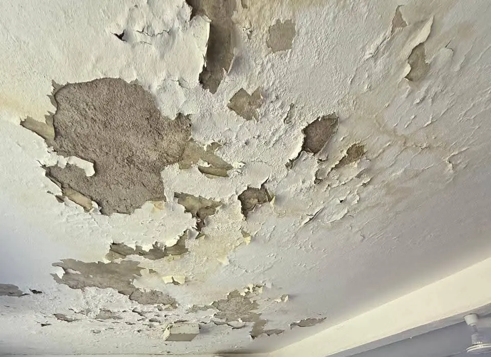 $!Denuncian deterioro en primaria de Rosario, donde se registró el desprendimiento de parte del techo en un salón