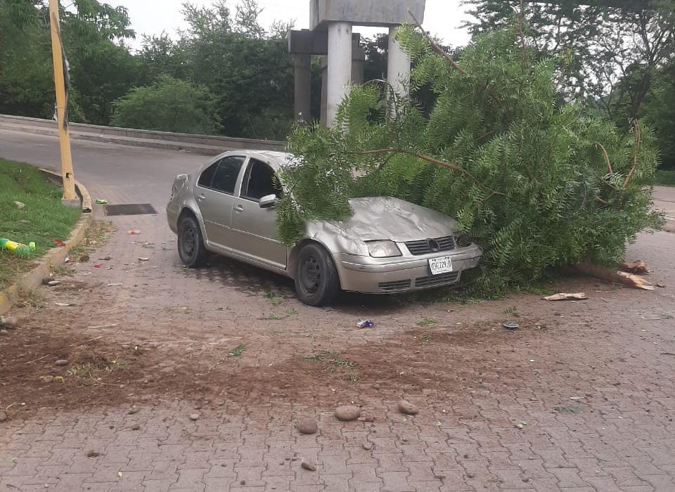 $!Conductor choca contra poste y árbol del camellón en el malecón de Rosario
