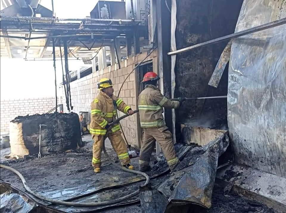 $!Incendio devasta una planta congeladora de camarón en Guasave; las pérdidas son millonarias