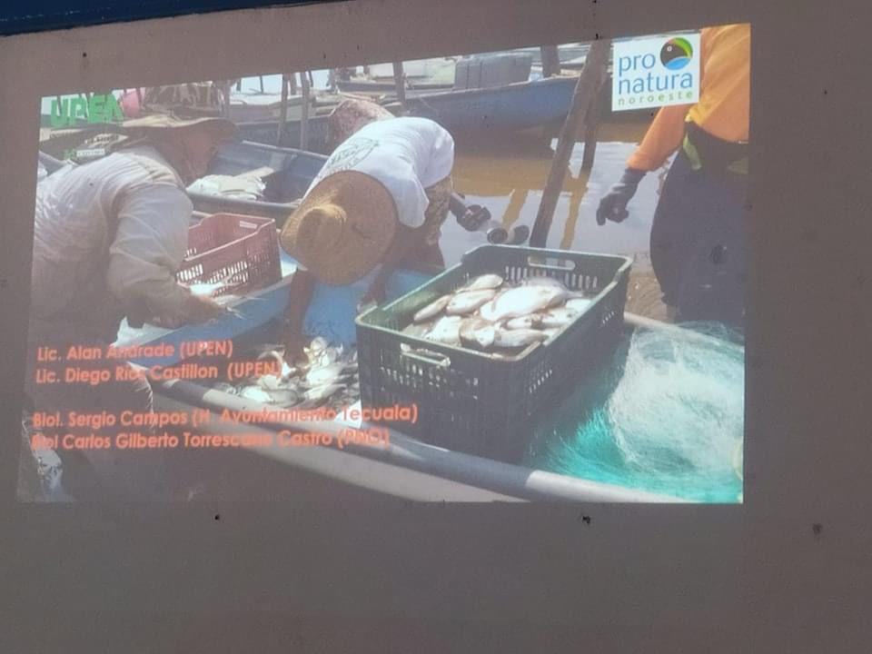 $!Capacitarán en plataformas digitales a pescadores de Teacapán, en Escuinapa