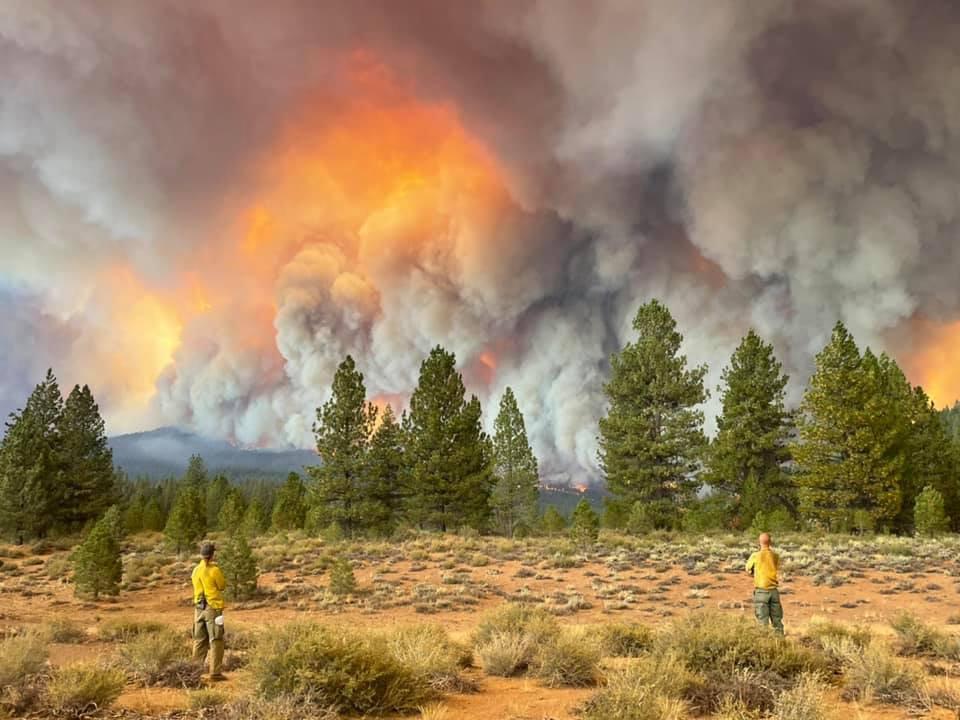 $!Bomberos acortan líneas que rodean al incendio ‘Caldor’, en California