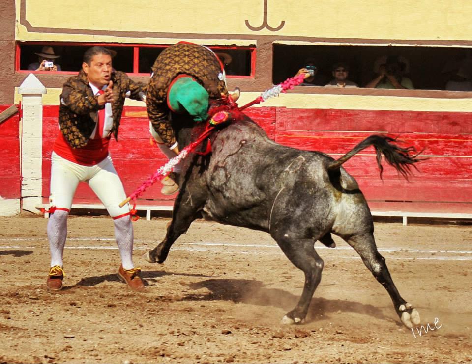 $!Forcado mazatleco Adán Flores ejecuta la última ‘pega’