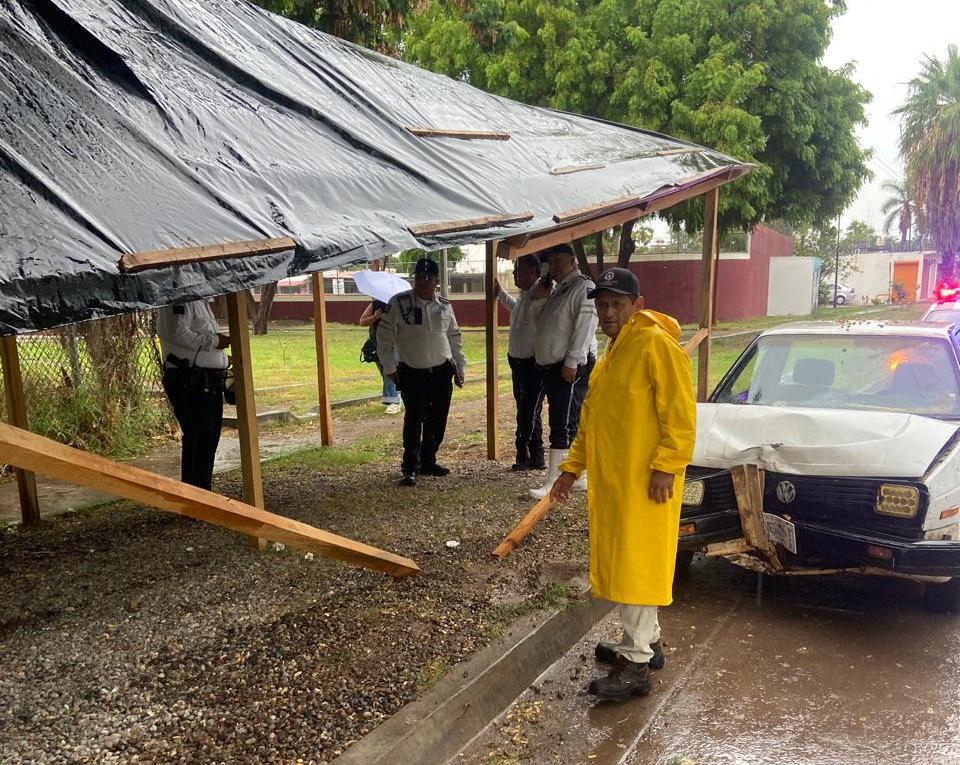 $!Adulto mayor pierde la vida tras chocar contra un árbol frente a Icatsin, en Los Mochis