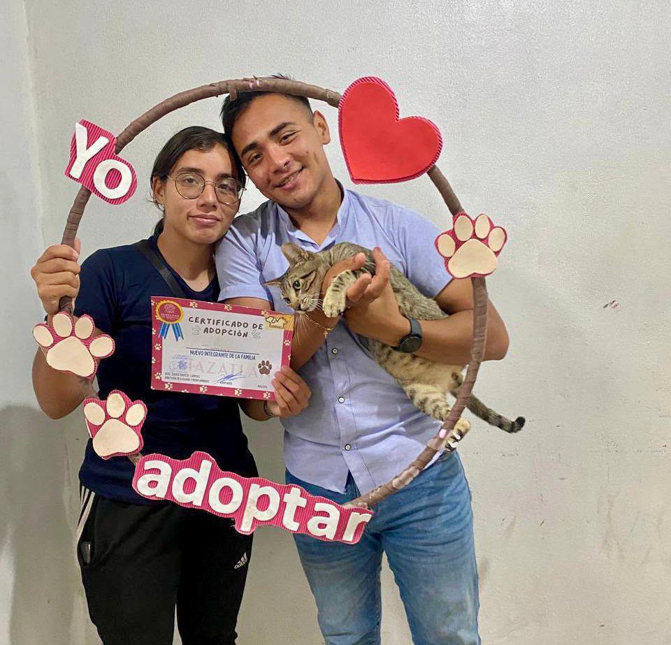 $!Encuentran hogar más de 95 mascotas con ‘Huellitas del Bienestar’ en Mazatlán