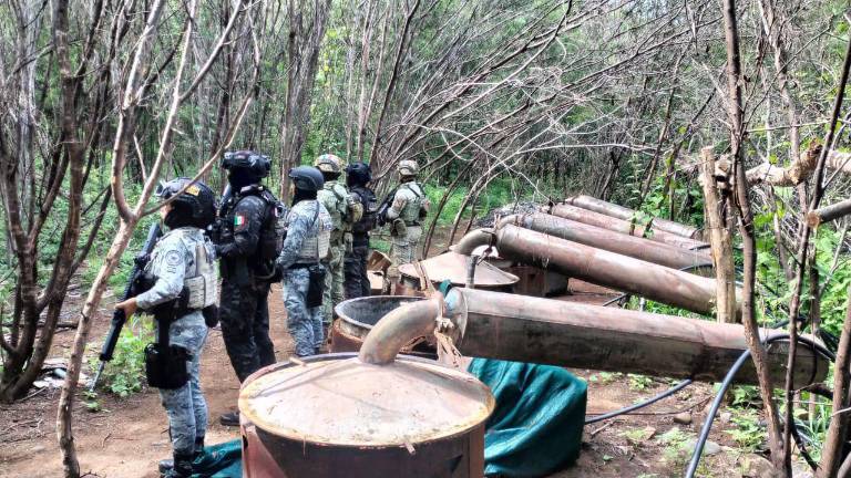 Las acciones fueron realizadas en inmediaciones de Carácuaro, Michoacán, así como Zirándaro y Coahuayutla de José María Izazaga, Guerrero.
