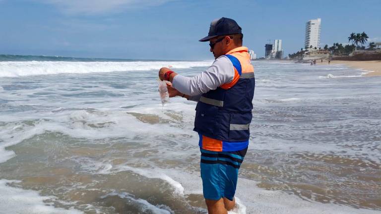 Sinaloa llega al verano con todas sus playas aptas para bañistas.