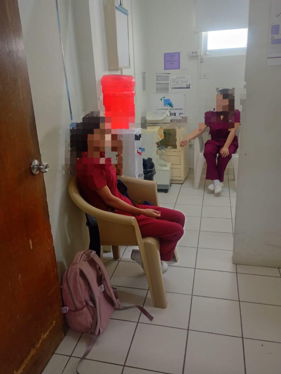 $!Ataque de abejas en plantel de Rosario deja a dos estudiantes heridos