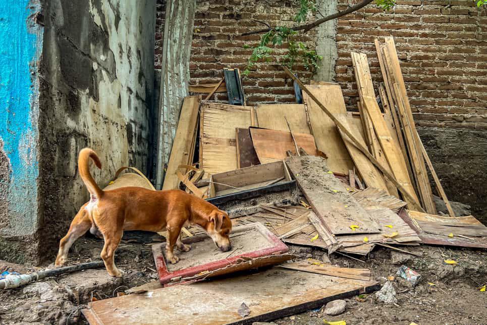 $!La tragedia de María Félix y la vida después de una inundación