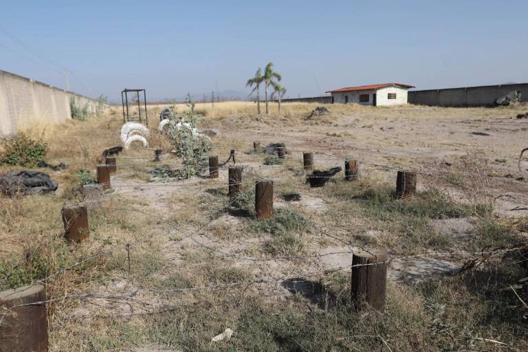 La 4T rechaza en Senado crear Comisión Especial para el caso del rancho en Teuchitlán