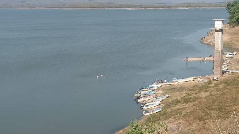 La presa Sanalona, ubicada en Culiacán, se encuentra con bajos niveles de almacenamiento.