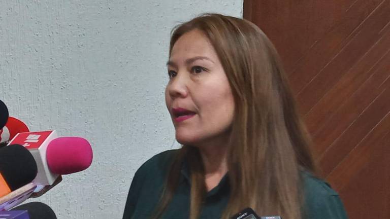Diputada Arely Berenice Ruiz López, presidenta de la Comisión de Seguridad.