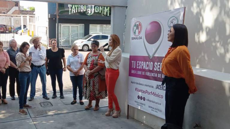 Paola Gárate Valenzuela, Érika Sánchez e Irma Moreno señalaron las deficiencias en el trabajo de las autoridades locales en tema de violencia hacia las mujeres.