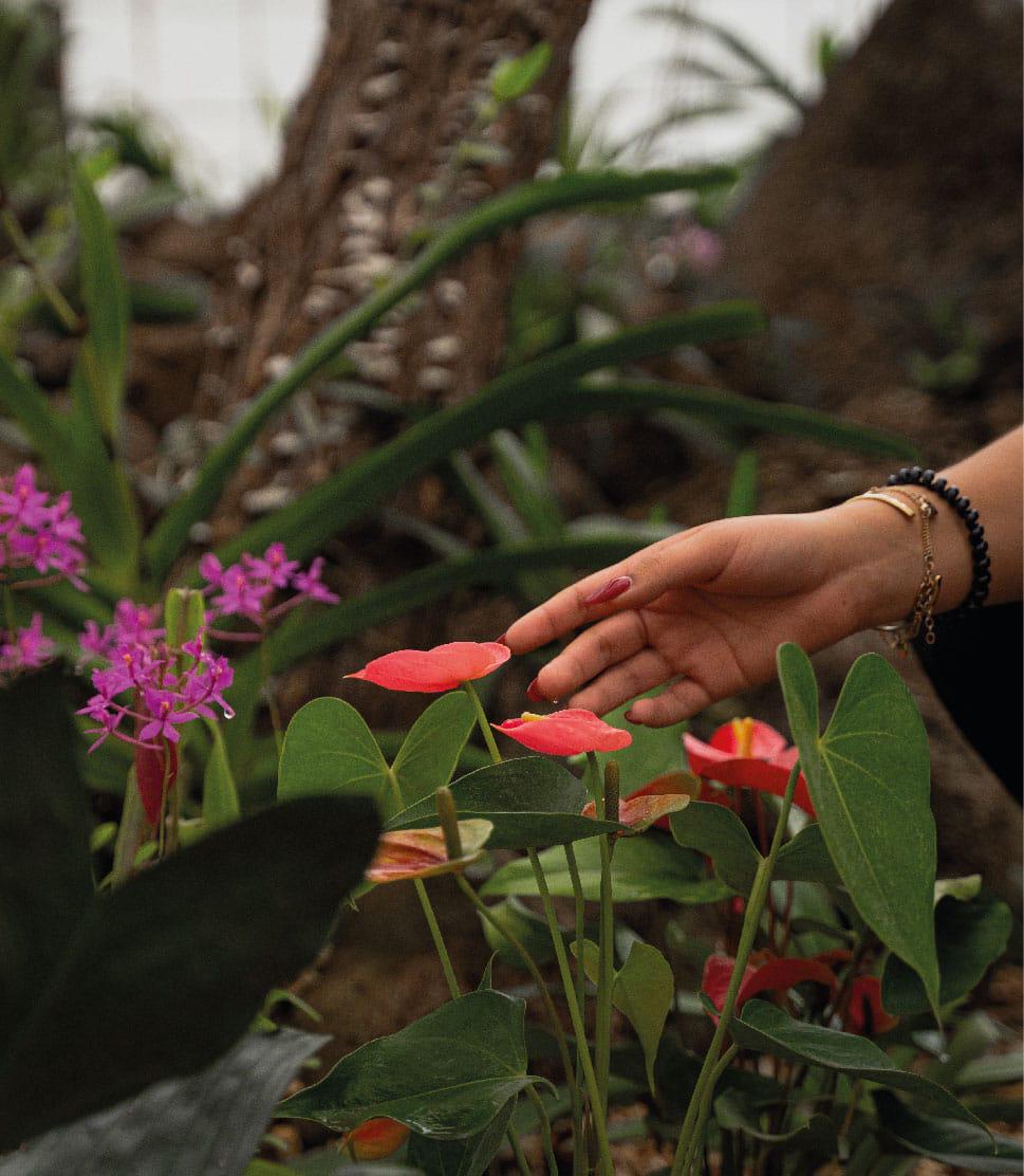 $!El Festival de Flores iniciará el próximo viernes 19 de abril.