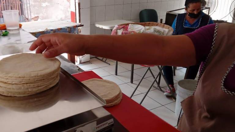 El precio de la tortilla en Sinaloa estará en 23 pesos el kilo.