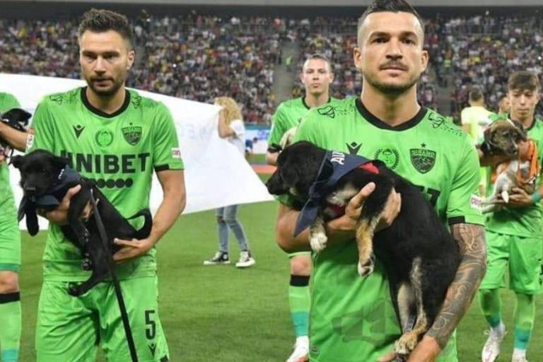 Rumania promueve la adopción de perros con el apoyo de los equipos de futbol
