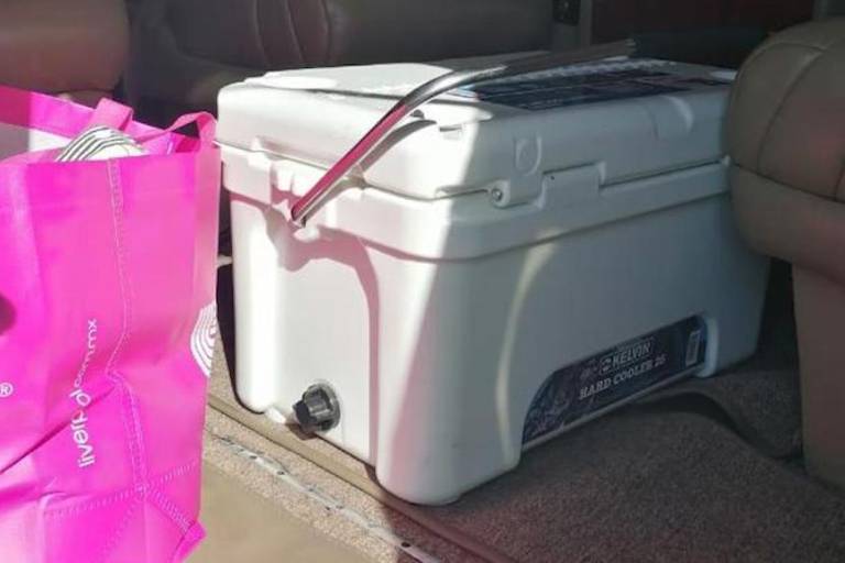 Ejército decomisa 5,775 dosis de la vacuna rusa contra el Covid-19 en aeropuerto de Campeche