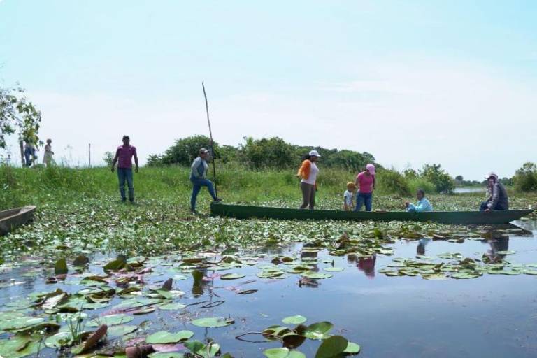 Día mundial de la adaptación al cambio climático: cuatro iniciativas que luchan contra la inminente escasez de agua dulce