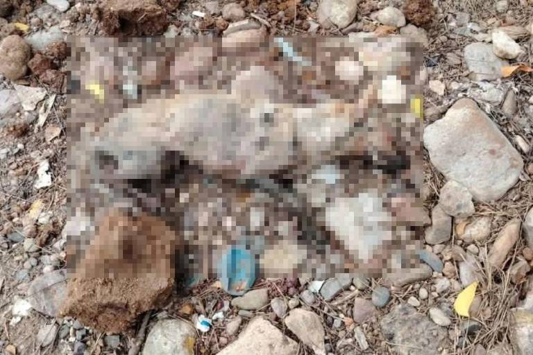 Denuncian maltrato animal en obra del Gobierno de Culiacán; casi entierran una perrita viva