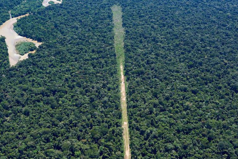Fotografías confirman presencia de pistas clandestinas y cultivos ilícitos en la Reserva Indígena Kakataibo en Perú