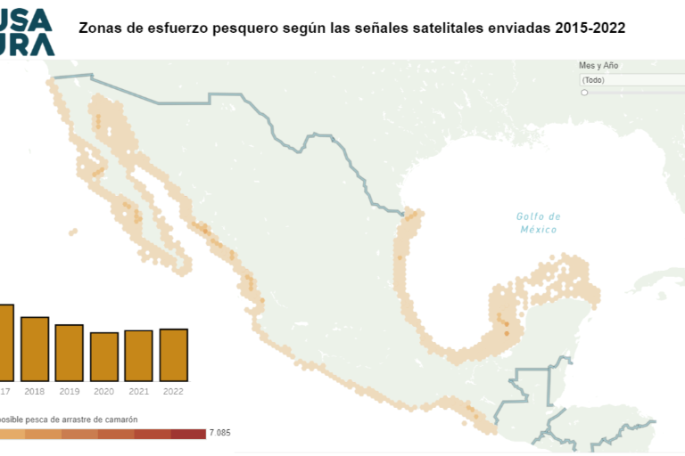 Desde inicios de 2023 no hay monitoreo satelital de embarcaciones en México