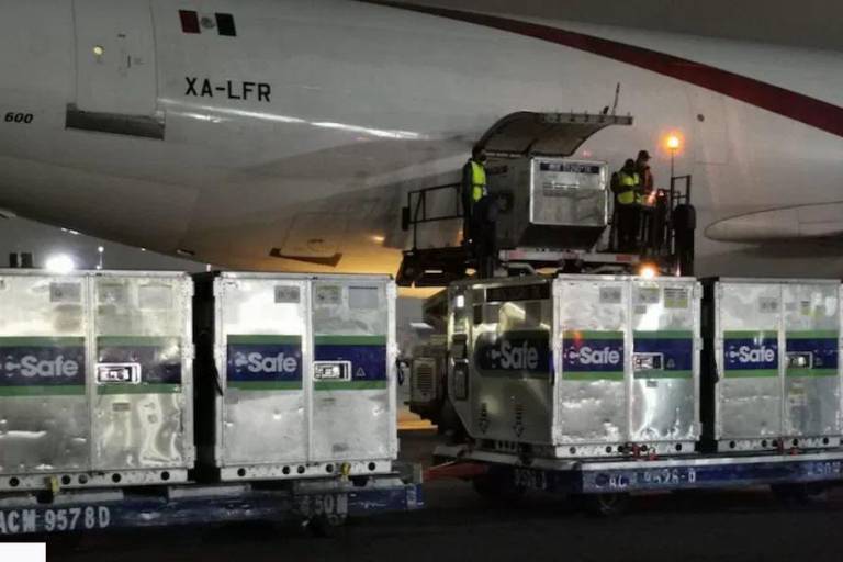 El lote más grande de vacunas llega a México: 2,395,300 dosis de Astrazeneca