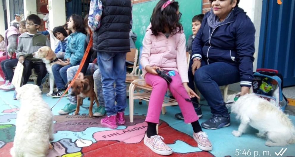 $!¿Comunismo? Qué proponen la Nueva Escuela Mexicana y los libros de texto de la SEP