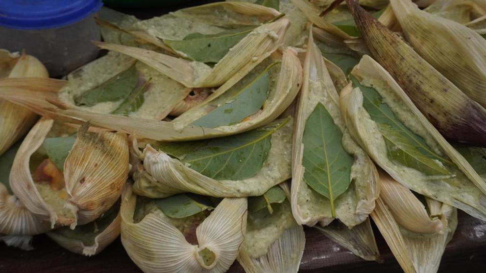 $!Las curanderas oaxaqueñas que cultivan cannabis