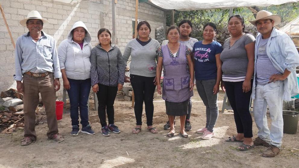 $!Las curanderas oaxaqueñas que cultivan cannabis