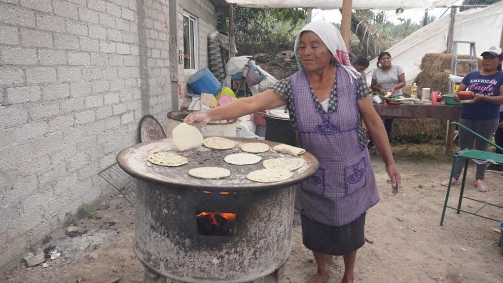 $!Las curanderas oaxaqueñas que cultivan cannabis
