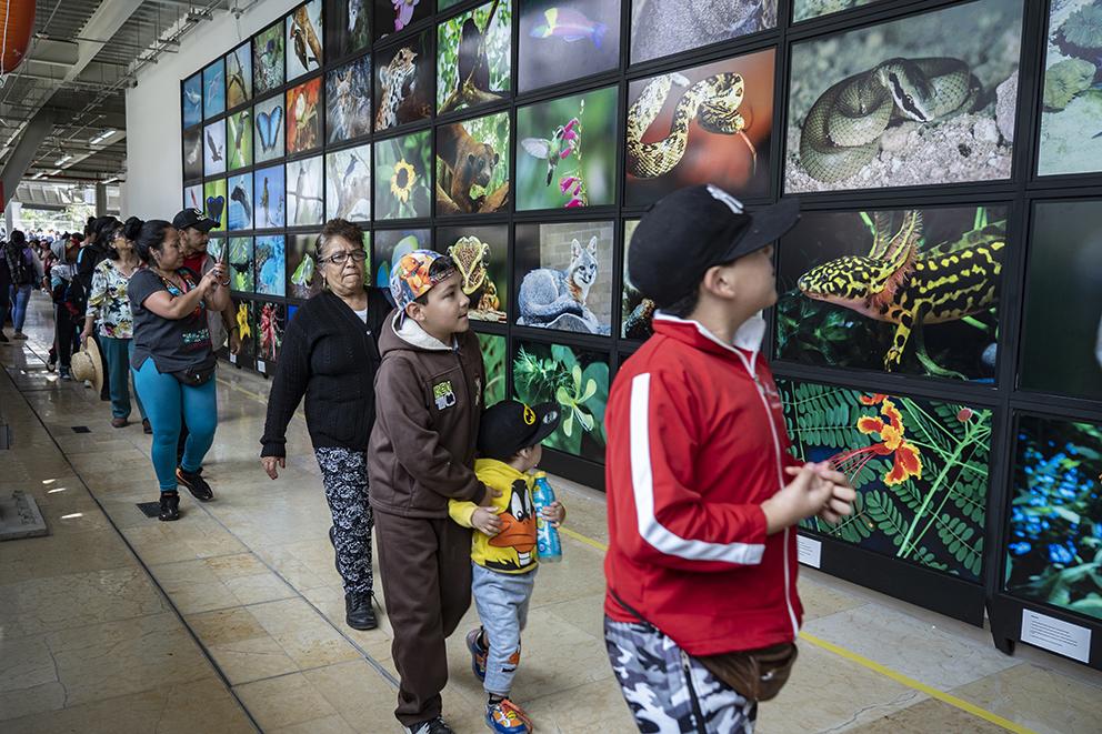 $!De Iztapalapa para el mundo: Utopías para brincar el cerco de la marginalidad