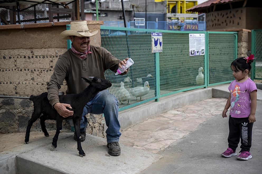 $!Uriel, veterinario de la Utopía Libertad, alimenta a Almendra, un becerro de 2 meses.