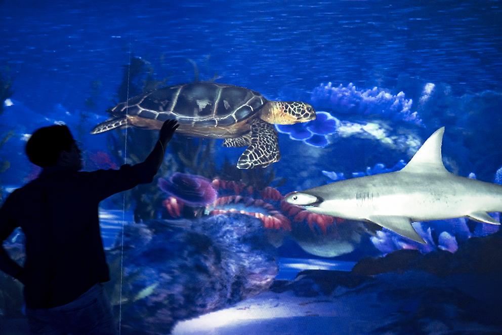 $!El acuario digital interactivo de la Utopía El Barco, permite conocer los nombres de las especies al tocar en la pantalla sobre los peces.