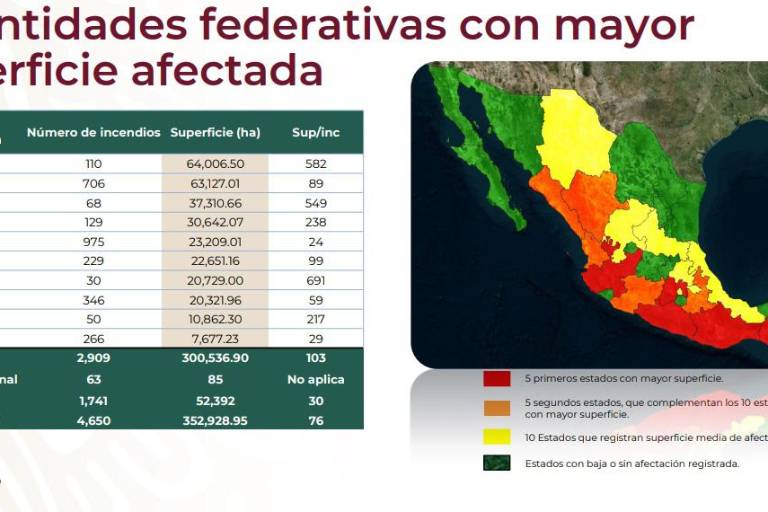 En lo que va de 2024, Sinaloa ocupa el séptimo lugar en superficie afectada por incendios forestales