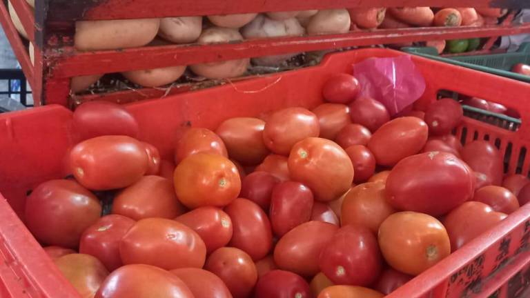 El tomate ha alcanzado los 50 pesos por kilogramo en diversas partes del municipio.