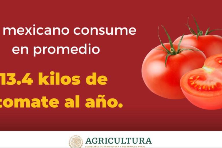 Impulsan investigación y mejoramiento del tomate