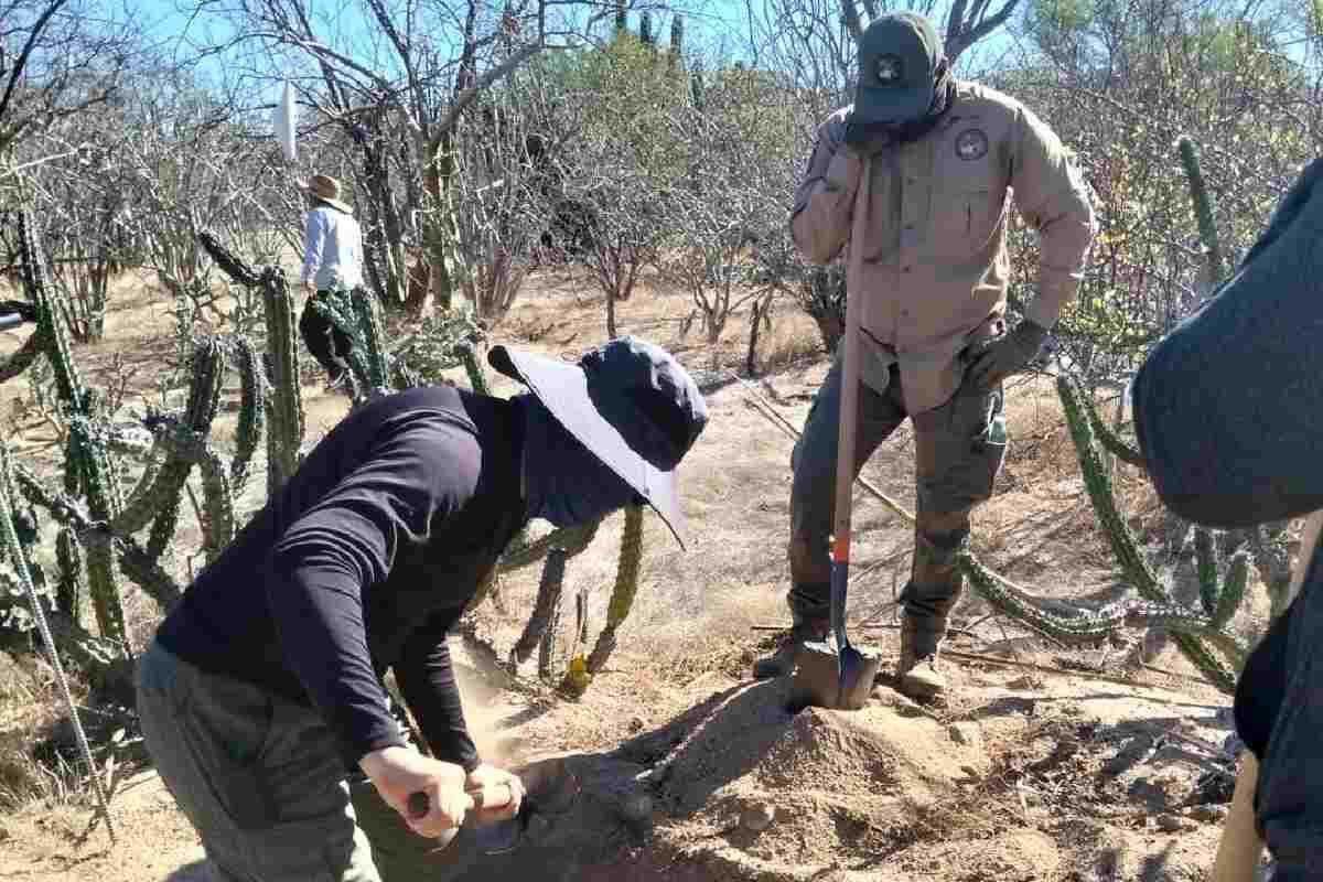Localizan cinco fosas clandestinas con 10 osamentas humanas en La Paz, Baja California Sur