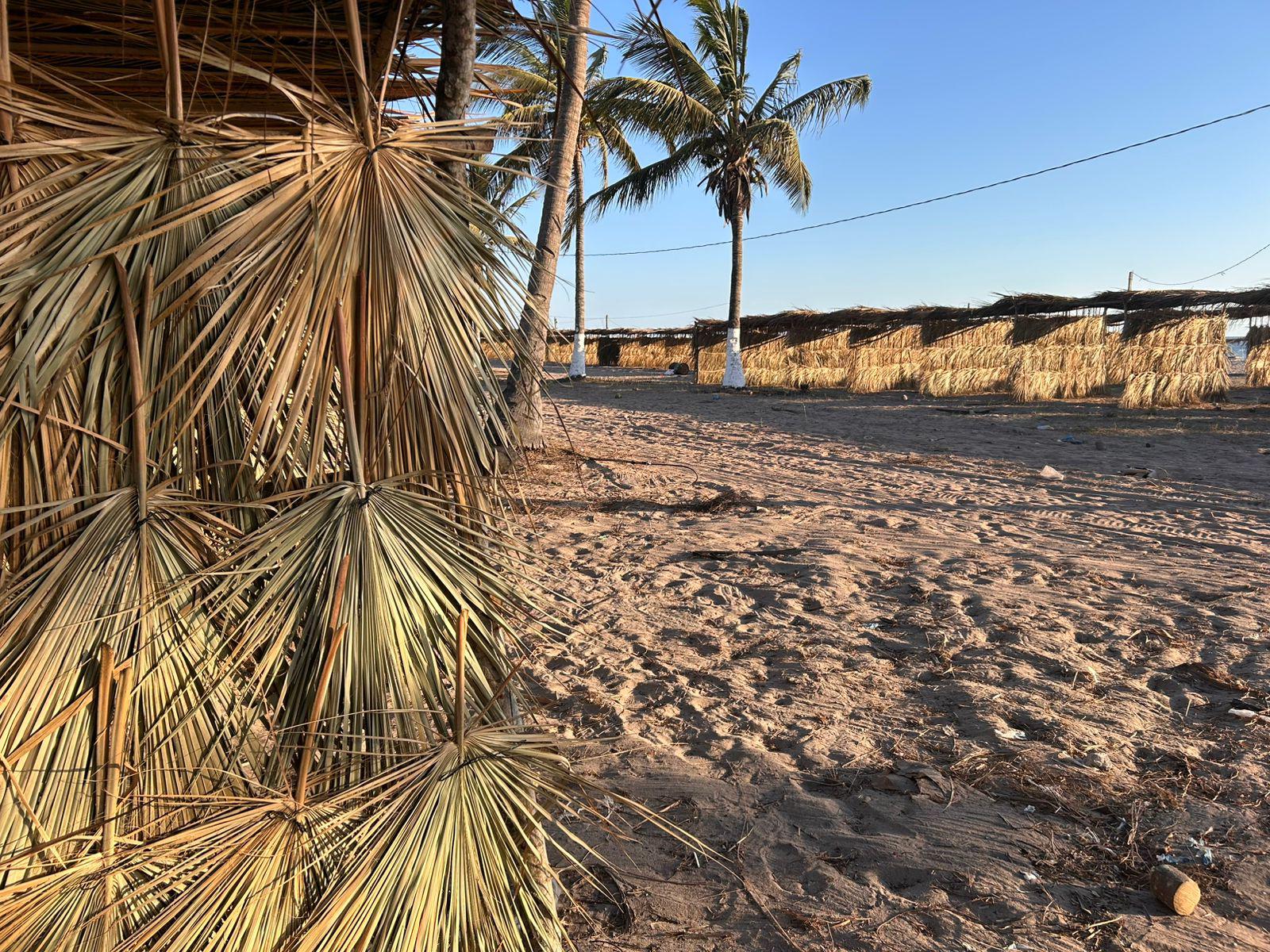 Avanza construcción de enramadas para las Fiestas del Mar de Las Cabras en Escuinapa