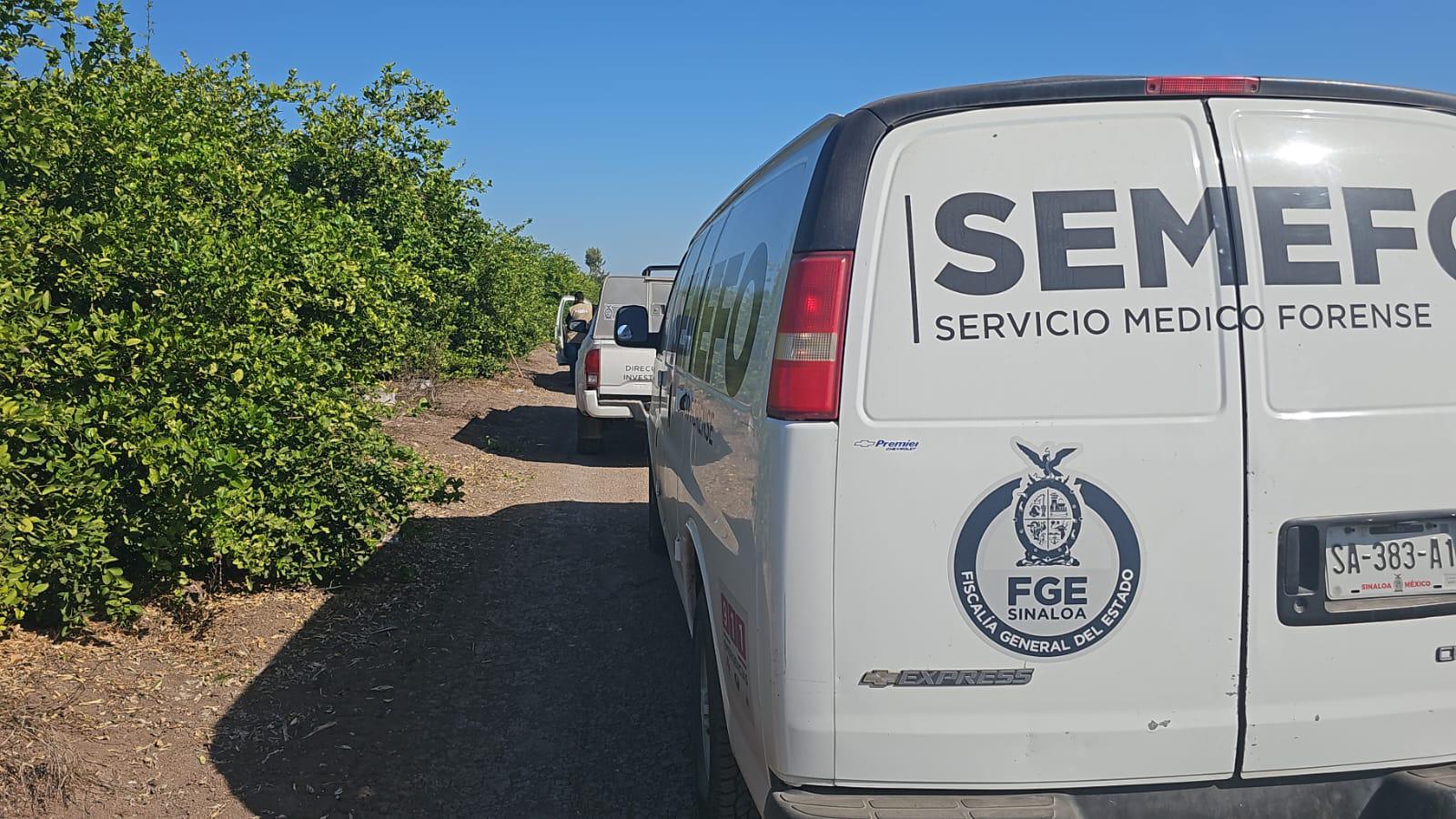 Hallan hielera con restos humanos en la maxipista Culiacán-Mazatlán, en Elota